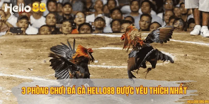 3 phòng chơi đá gà Hello88 được yêu thích nhất
