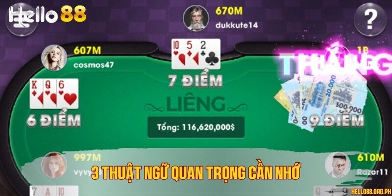 3 thuật ngữ quan trọng cần nhớ
