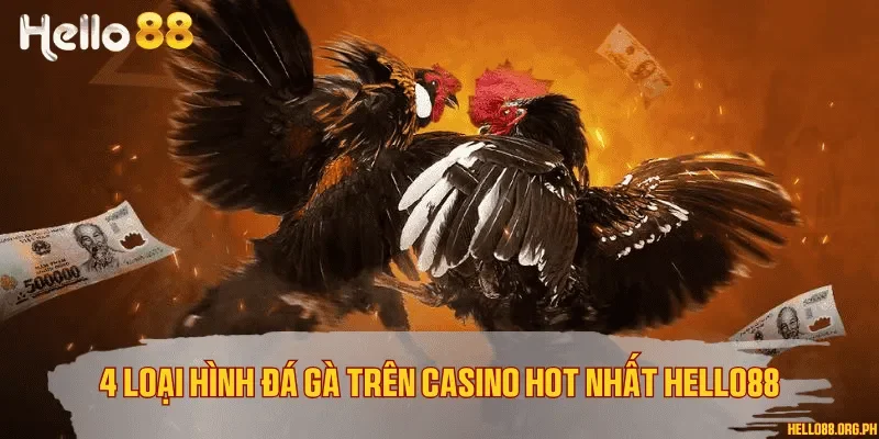 4 loại hình đá gà trên casino hot nhất Hello88