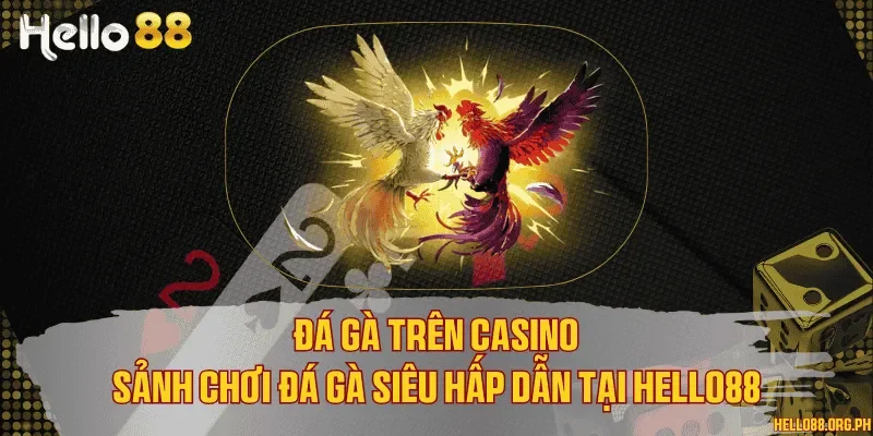 Đá gà trên casino - Sảnh chơi đá gà siêu hấp dẫn tại Hello88