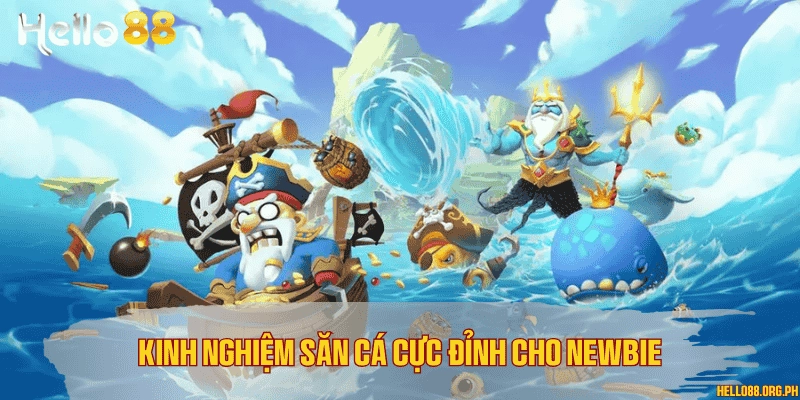 Kinh nghiệm săn cá cực đỉnh cho newbie