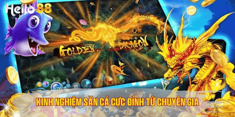 Kinh nghiệm săn cá cực đỉnh từ chuyên gia