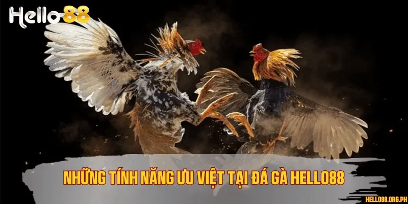Những tính năng ưu việt tại đá gà Hello88